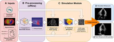 Cardiac ultrasound simulation for autonomous ultrasound navigation